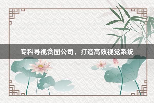 专科导视贪图公司,打造高效视觉系统