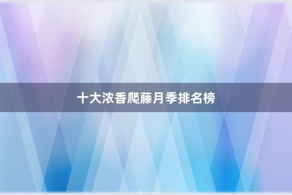 十大浓香爬藤月季排名榜