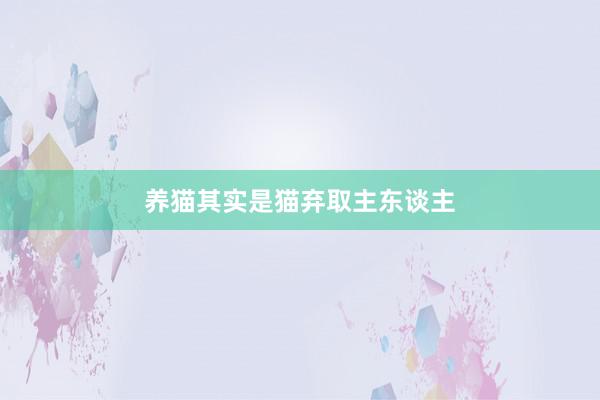 养猫其实是猫弃取主东谈主