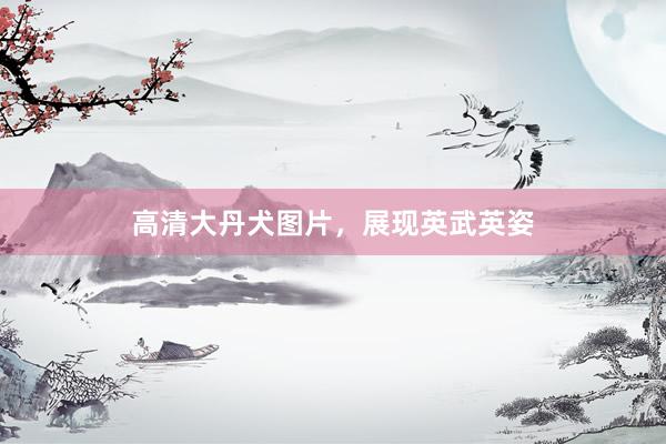高清大丹犬图片，展现英武英姿
